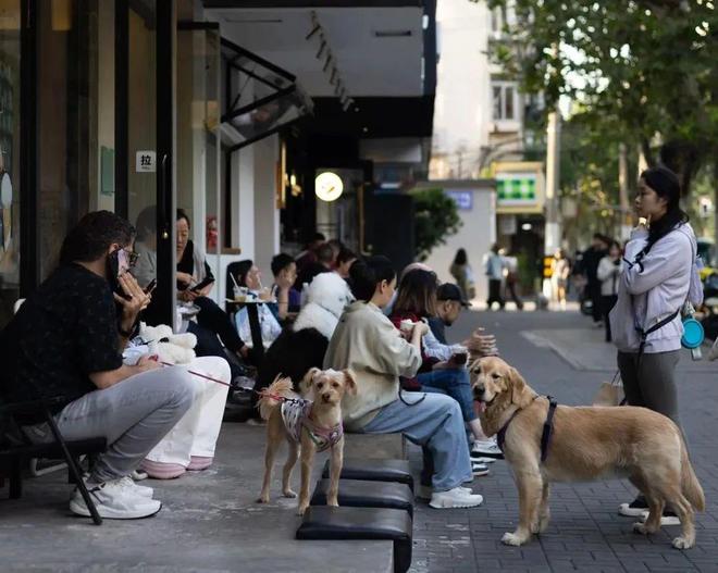 弃了双11爱上了“老年严选”OG真人平台这届脆皮年轻人抛(图13)